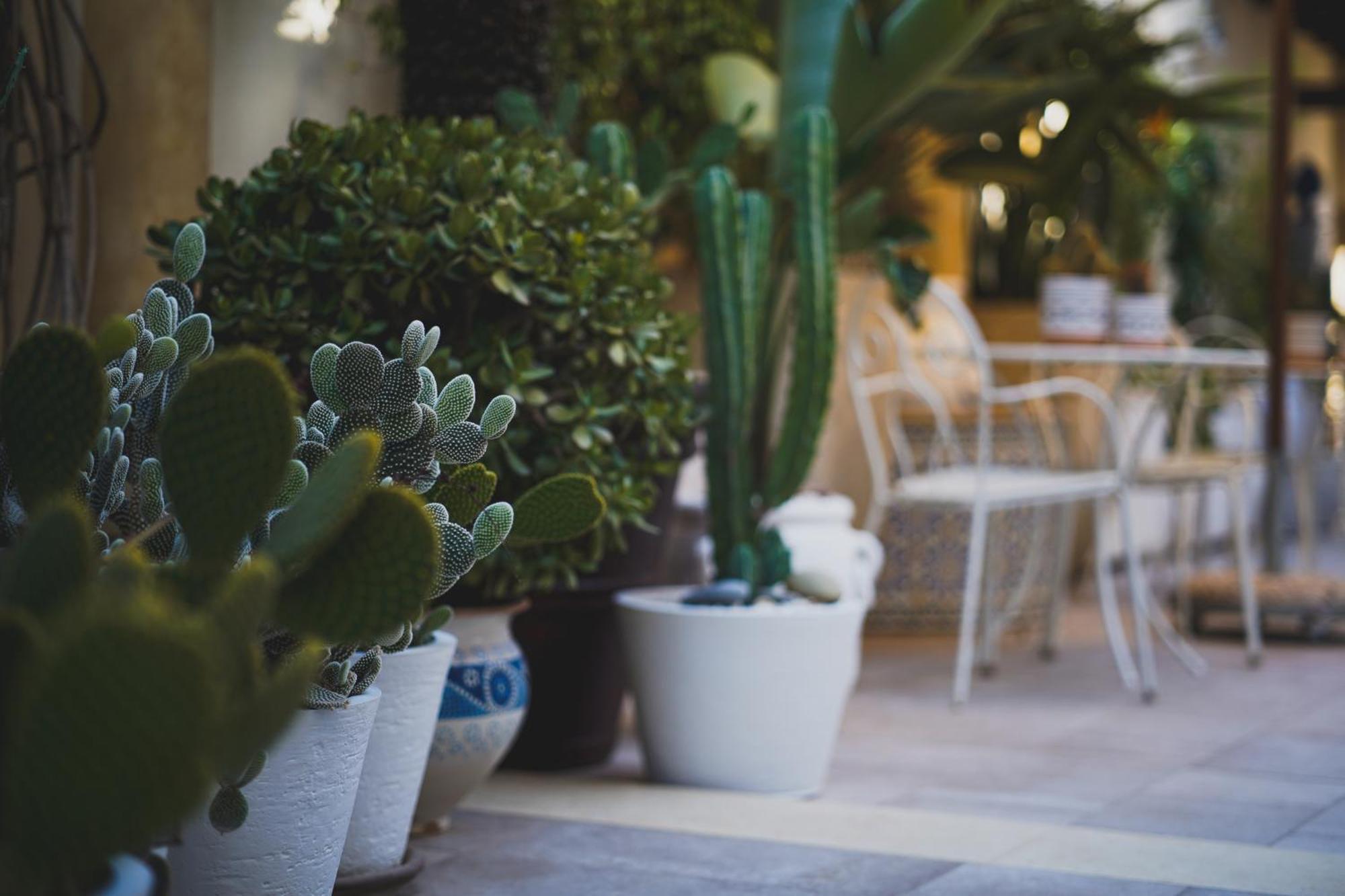 Riad Comfort Rooms San Vito Lo Capo Exterior photo