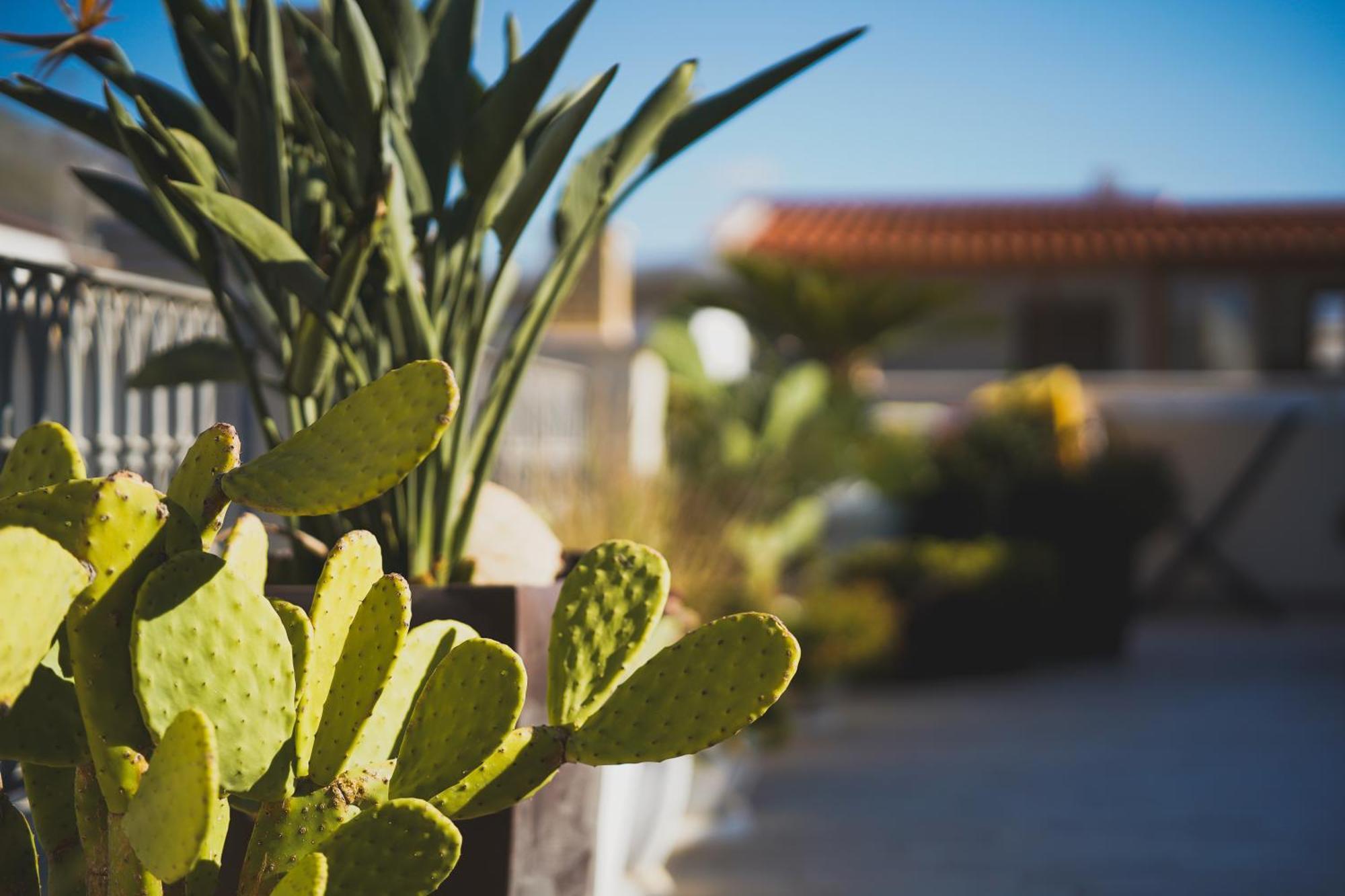 Riad Comfort Rooms San Vito Lo Capo Exterior photo